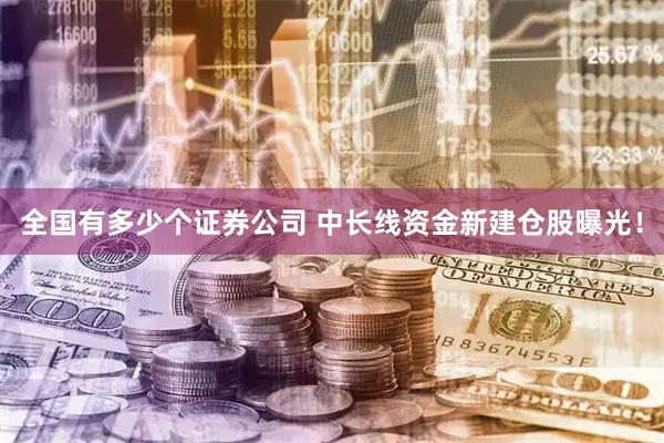 全国有多少个证券公司 中长线资金新建仓股曝光!